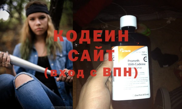 гидра Богданович