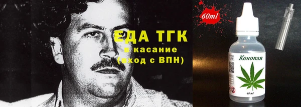 гидра Богданович