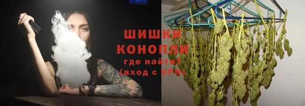гидра Богданович