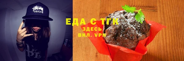 гидра Богданович