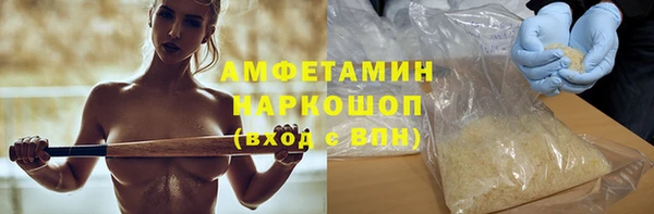 гидра Богданович