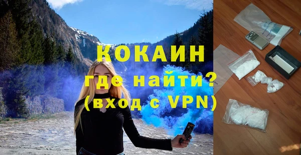 гидра Богданович