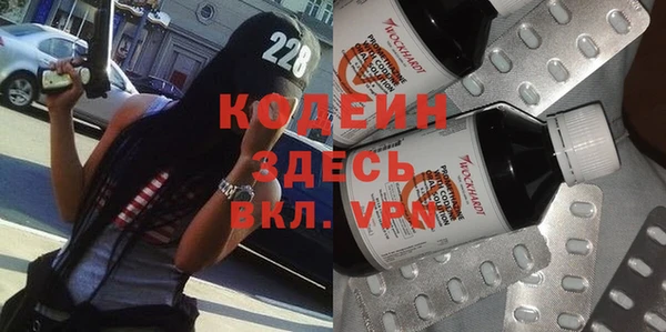 гидра Богданович
