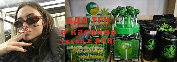 гидра Богданович