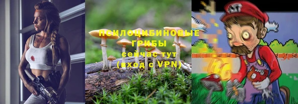 гидра Богданович