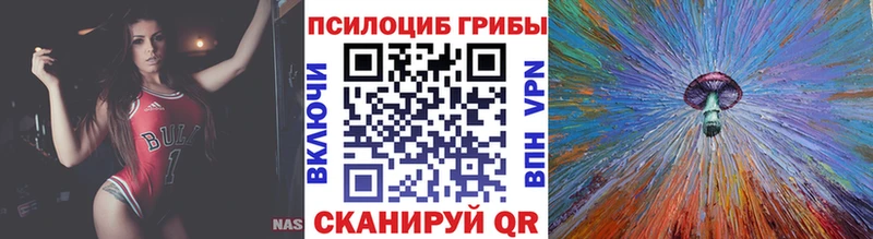 Псилоцибиновые грибы мицелий  Нижний Тагил 